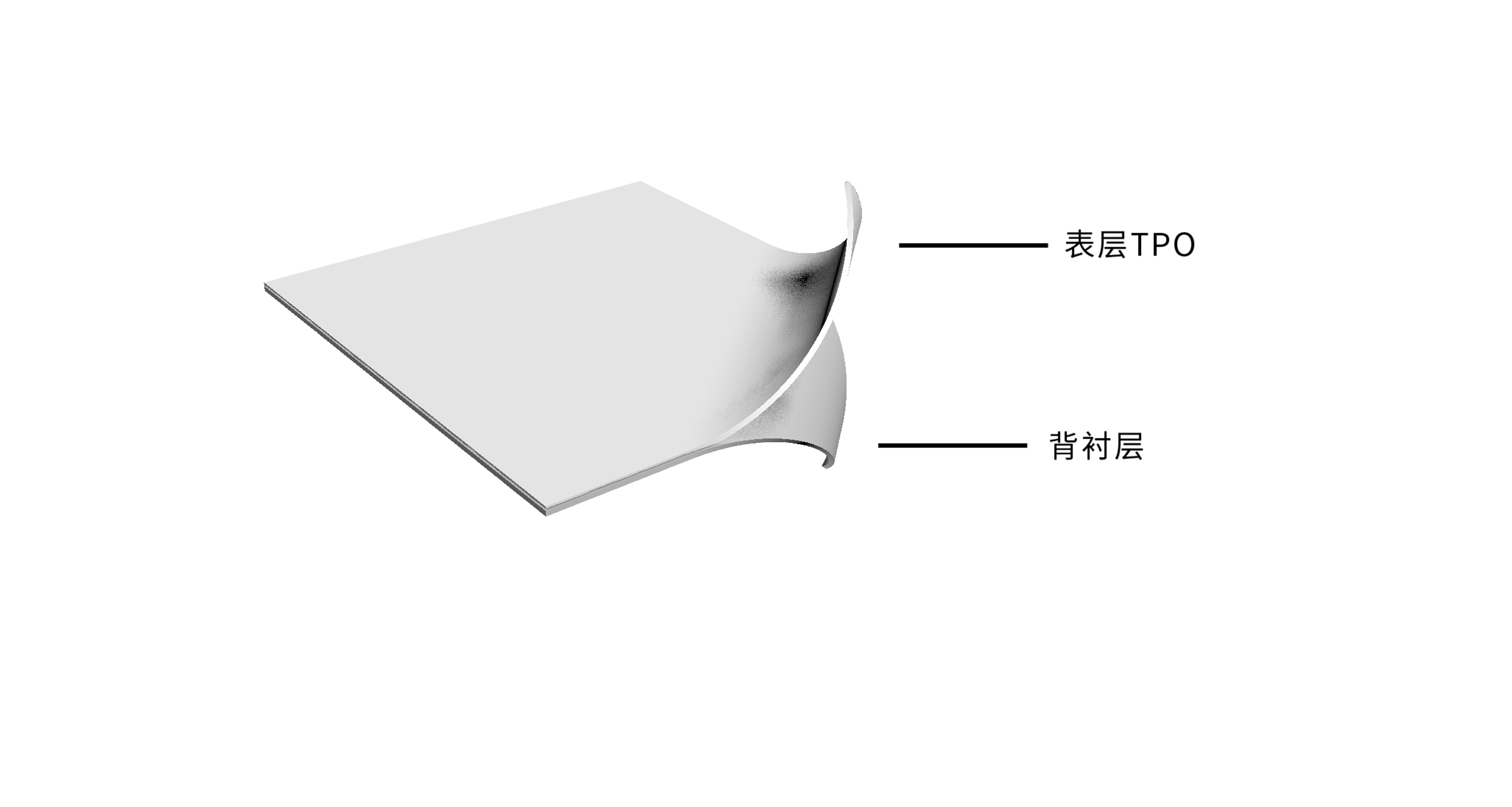 upload/20250714150200683_20280.jpg