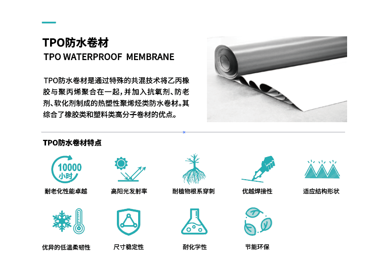 TPO复合钢板的内容.png